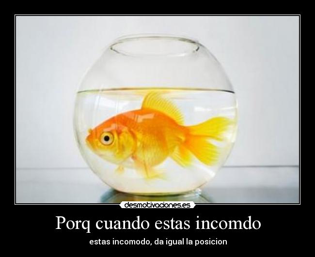 Porq cuando estas incomdo - estas incomodo, da igual la posicion