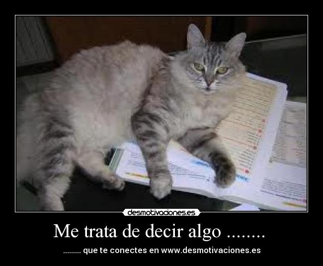 Me trata de decir algo ........ - ......... que te conectes en www.desmotivaciones.es