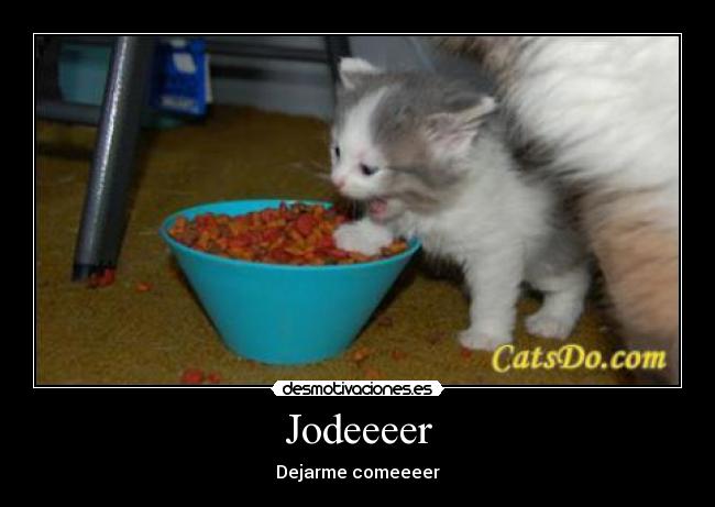Jodeeeer - Dejarme comeeeer