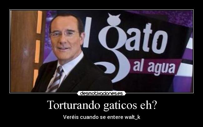 Torturando gaticos eh? -