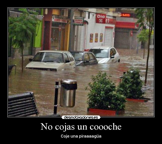 No cojas un coooche - 