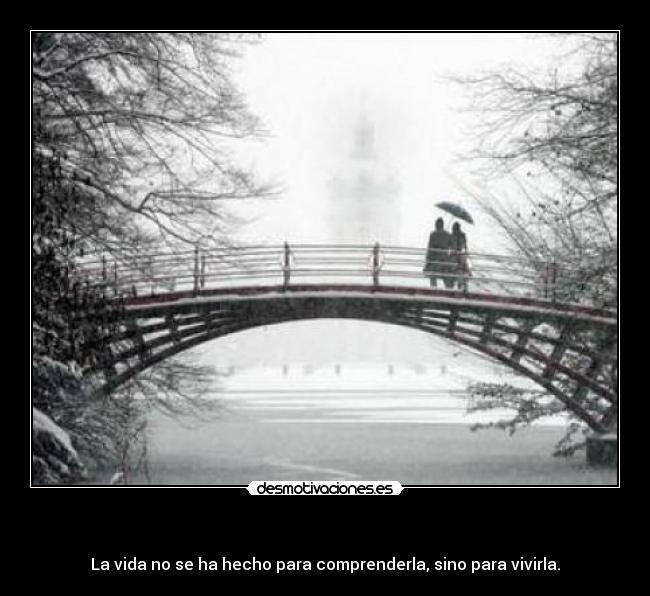    - La vida no se ha hecho para comprenderla, sino para vivirla.