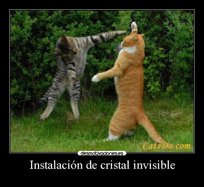 Instalación de cristal invisible -