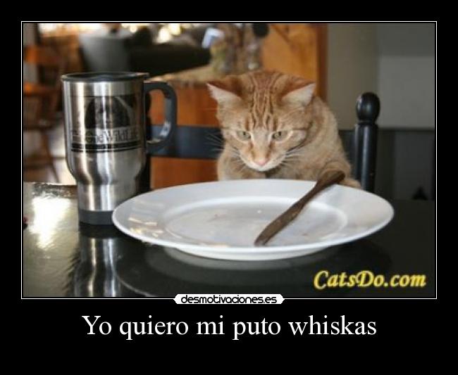 Yo quiero mi puto whiskas -