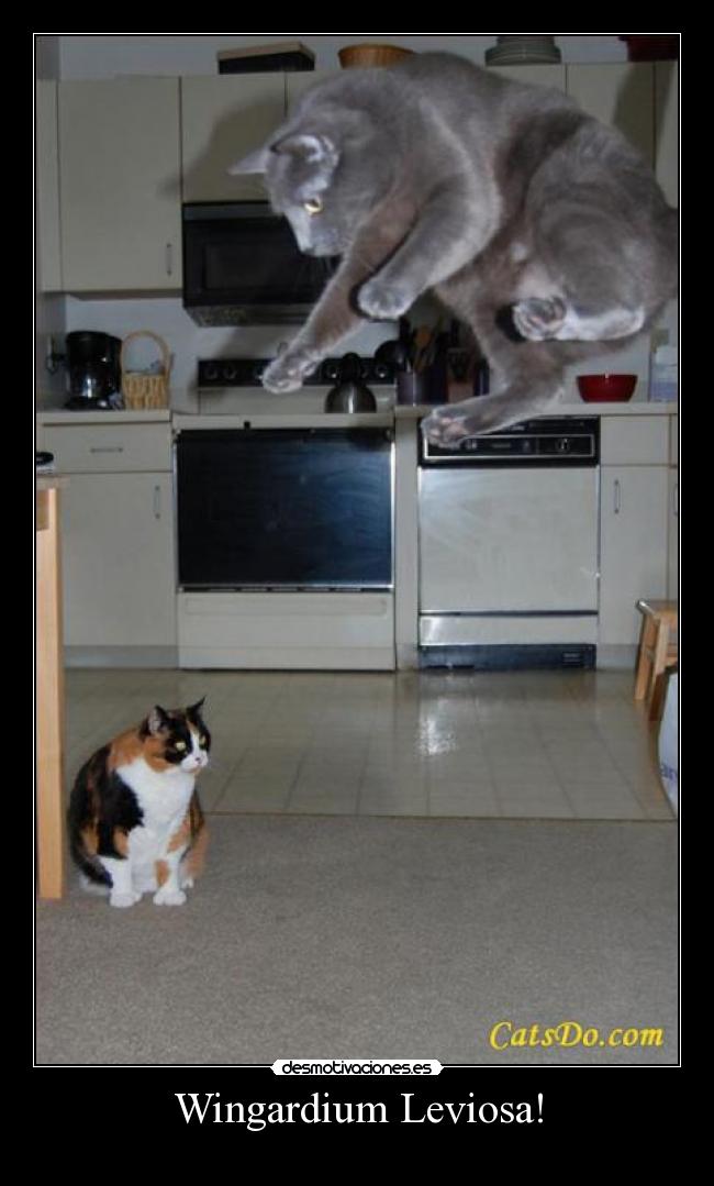 Wingardium Leviosa! - 