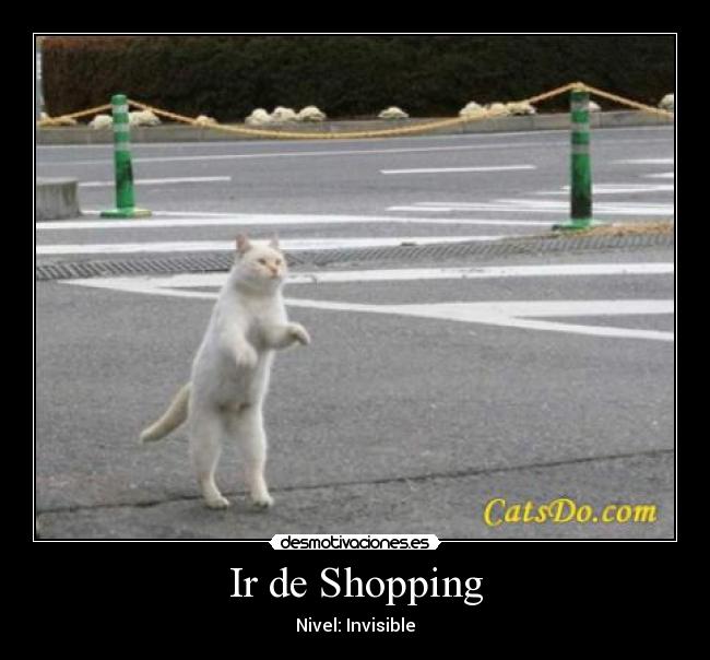 Ir de Shopping -