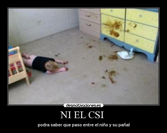 NI EL CSI -