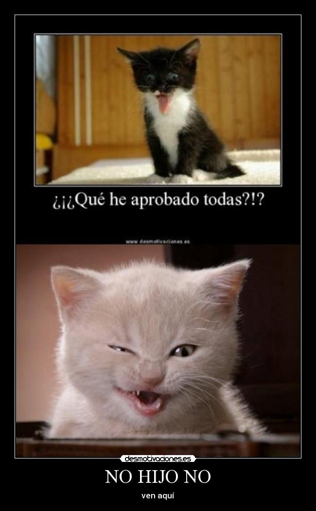 NO HIJO NO -