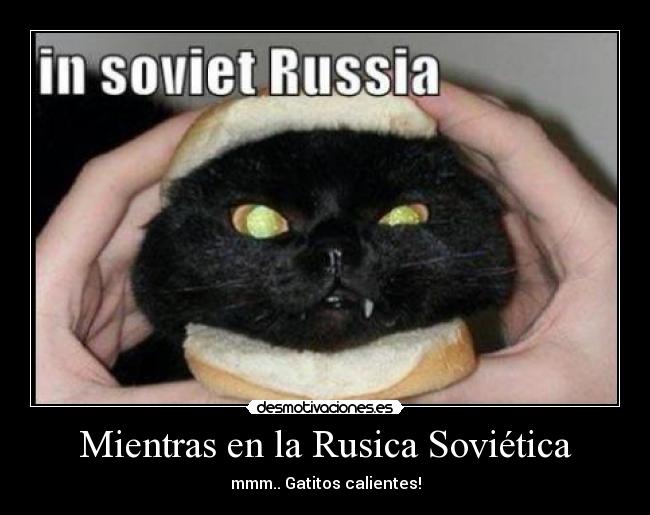 Mientras en la Rusica Soviética - mmm.. Gatitos calientes!