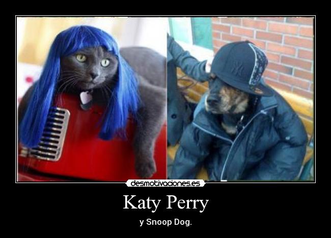 carteles gata con peluca perro gorra chaqueta katy perry snoop dog desmotivaciones