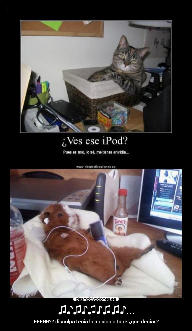 carteles ipod animales musica gato desmotivaciones