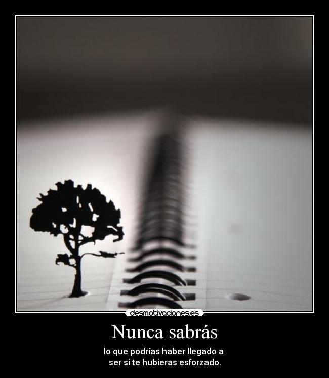Nunca sabrás -