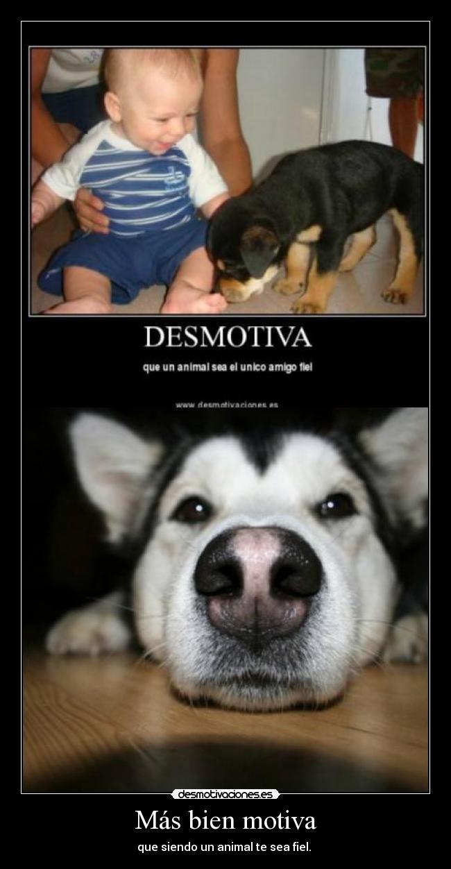 Más bien motiva - 