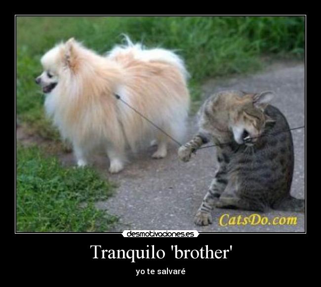 Tranquilo brother -