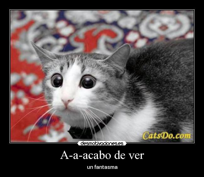 A-a-acabo de ver - un fantasma