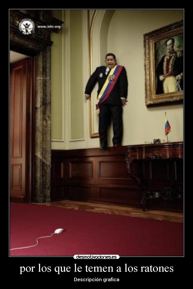 carteles descripcion grafica desmotivaciones