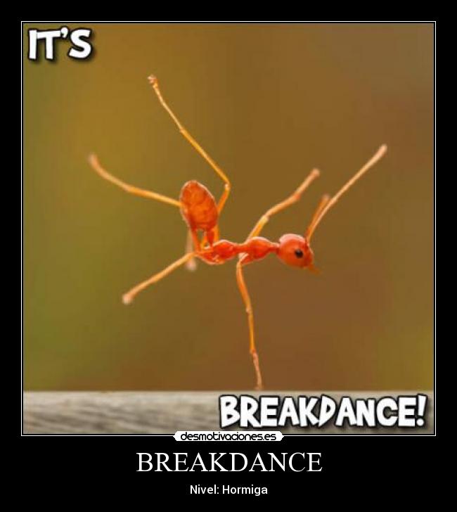 BREAKDANCE - Nivel: Hormiga
