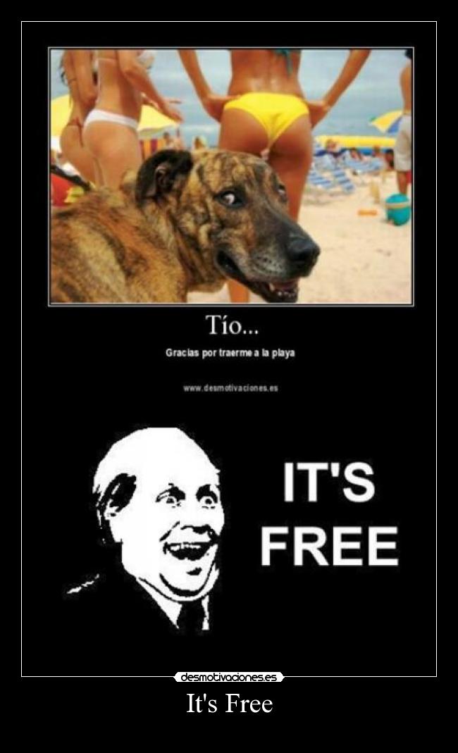 Its Free -   