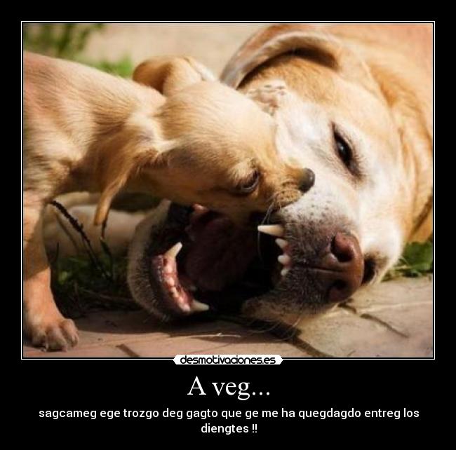 A veg... - sagcameg ege trozgo deg gagto que ge me ha quegdagdo entreg los diengtes !!