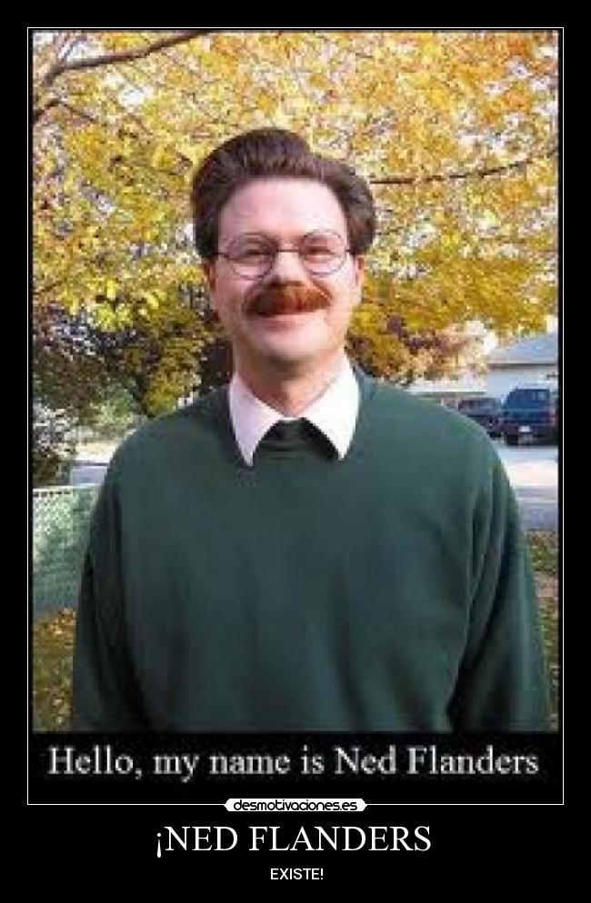 ¡NED FLANDERS -