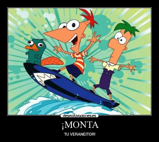 ¡MONTA - 