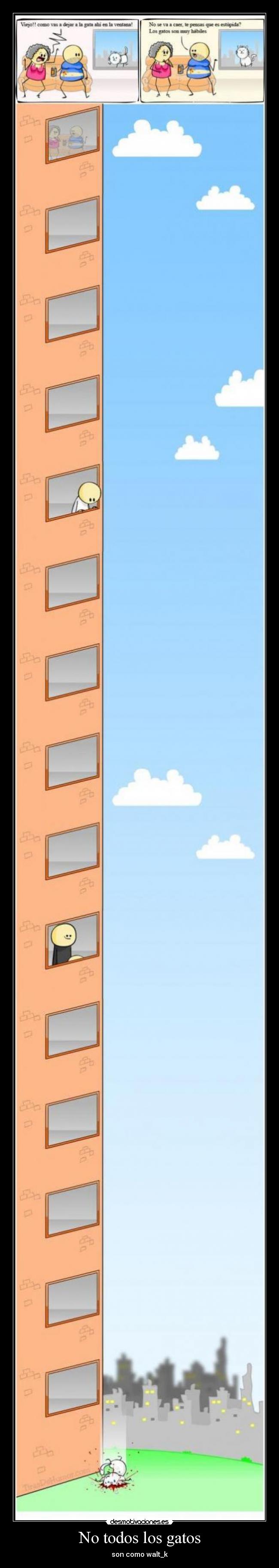 No todos los gatos -