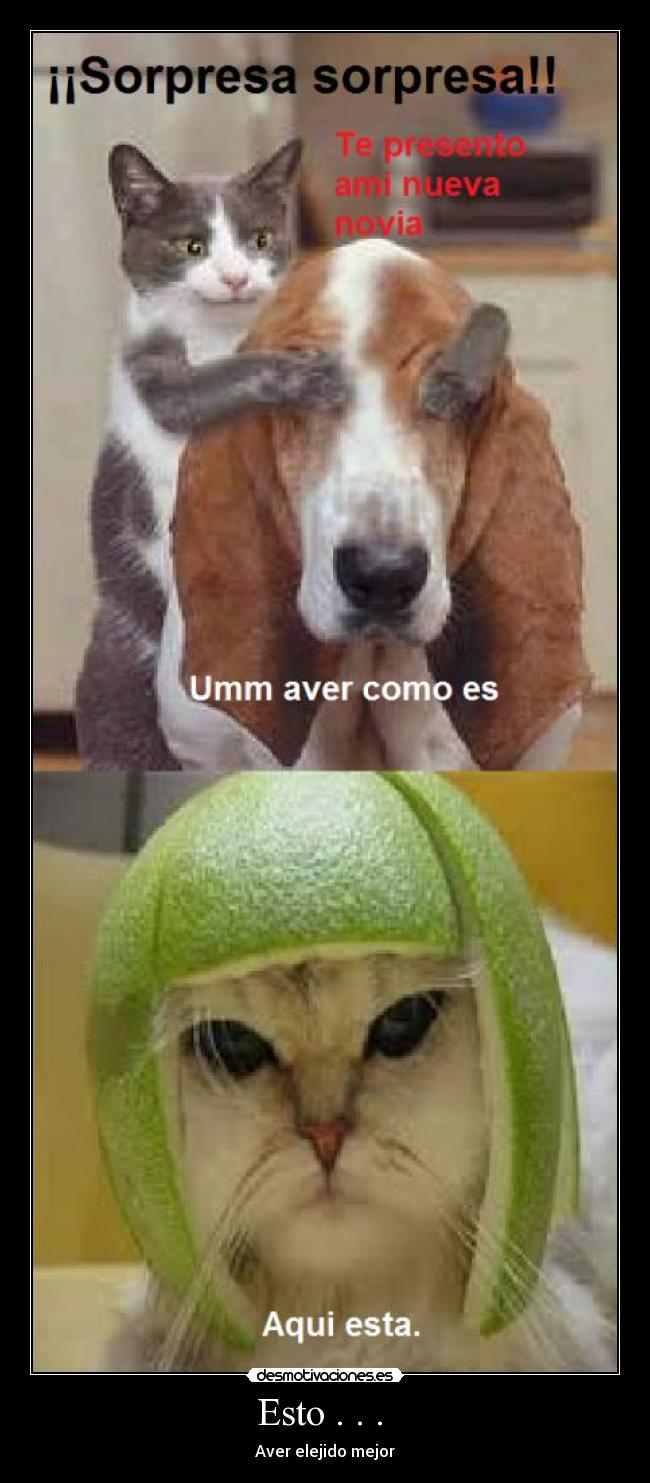 carteles xdddddddddddddddddddddddddd desmotivaciones