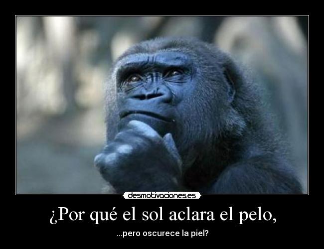 ¿Por qué el sol aclara el pelo, - 