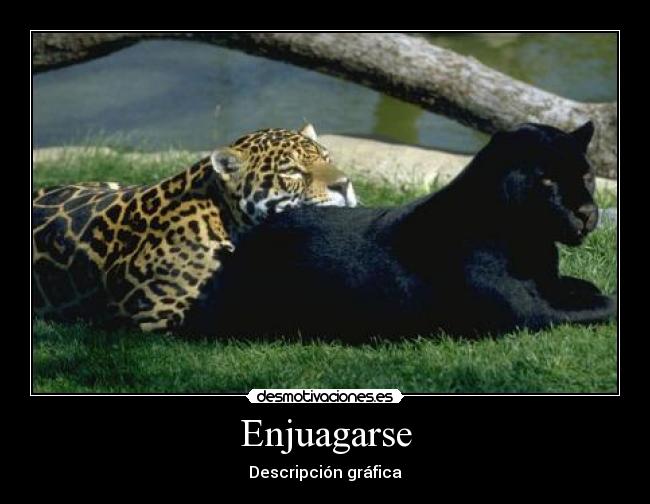 Enjuagarse - Descripción gráfica