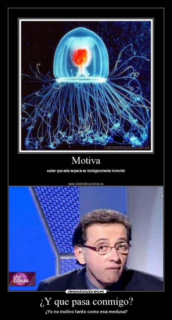 ¿Y que pasa conmigo? - ¿Yo no motivo tanto como esa medusa?