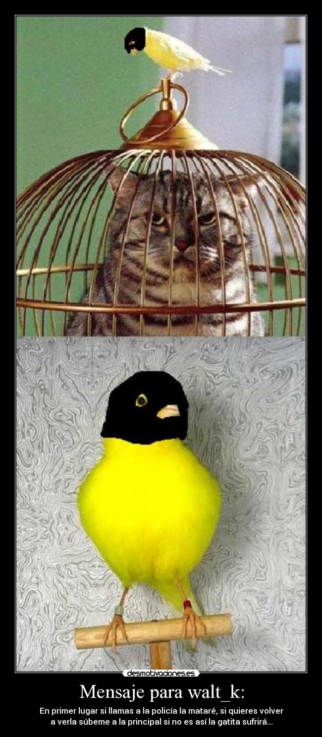 Mensaje para walt_k: -