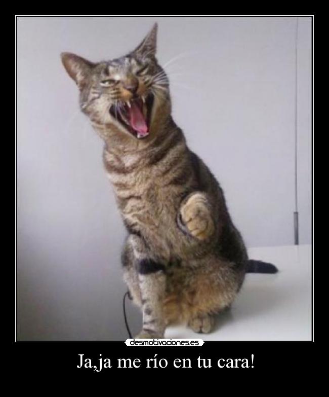 Ja,ja me río en tu cara! -