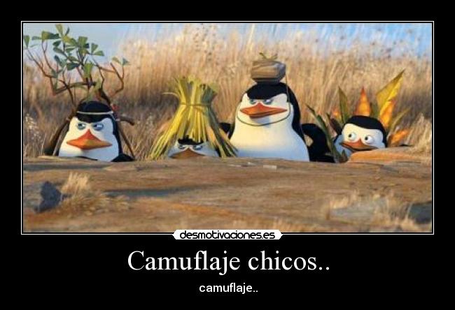 Camuflaje chicos.. - camuflaje..