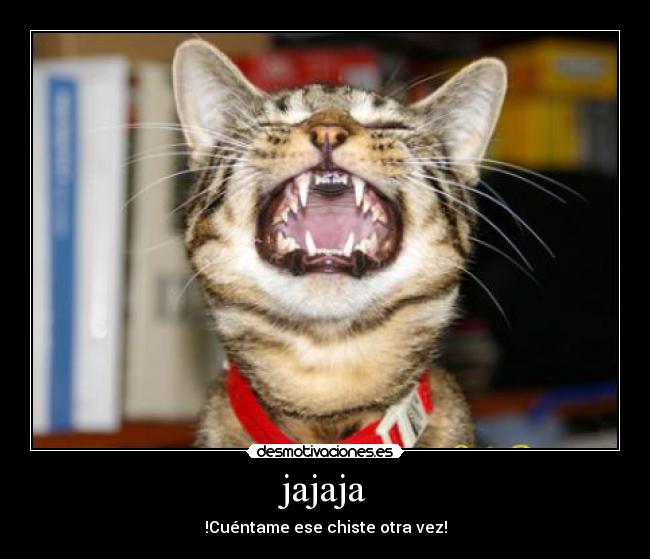 jajaja - !Cuéntame ese chiste otra vez!