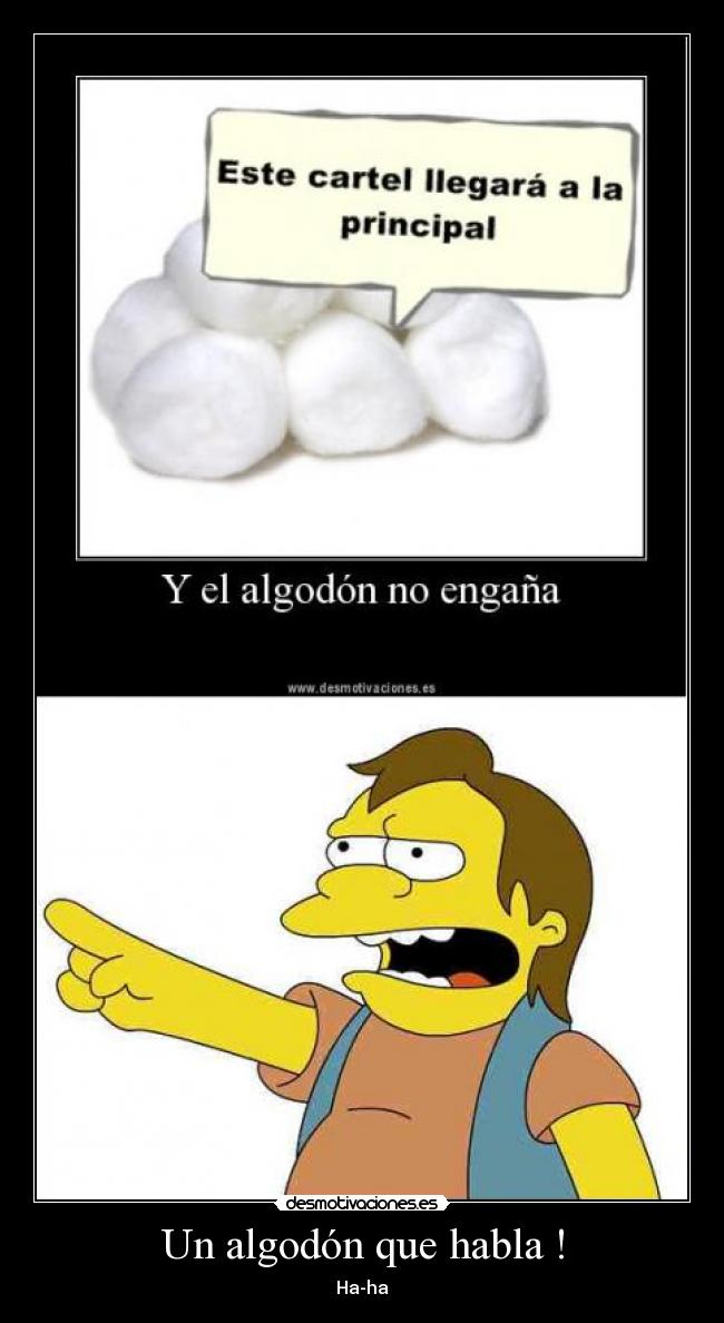 Un algodón que habla ! - Ha-ha