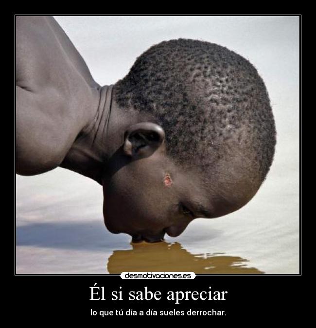 Él si sabe apreciar -