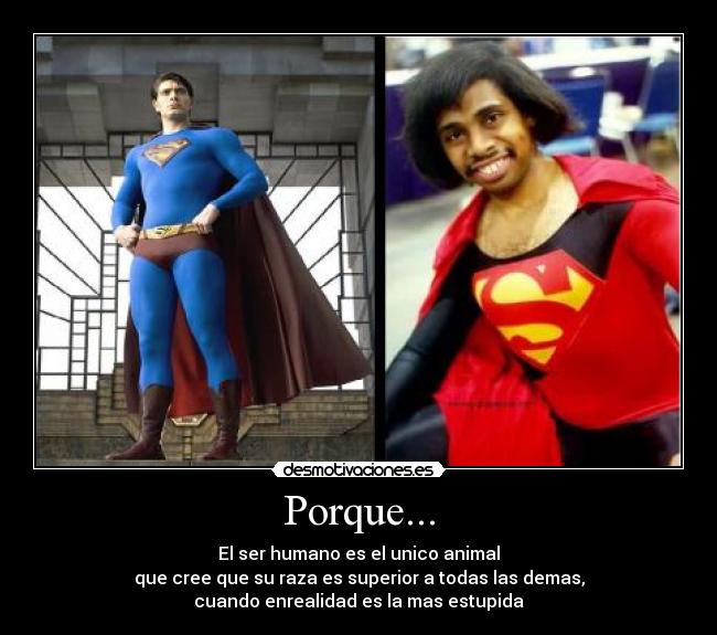 Porque... -
