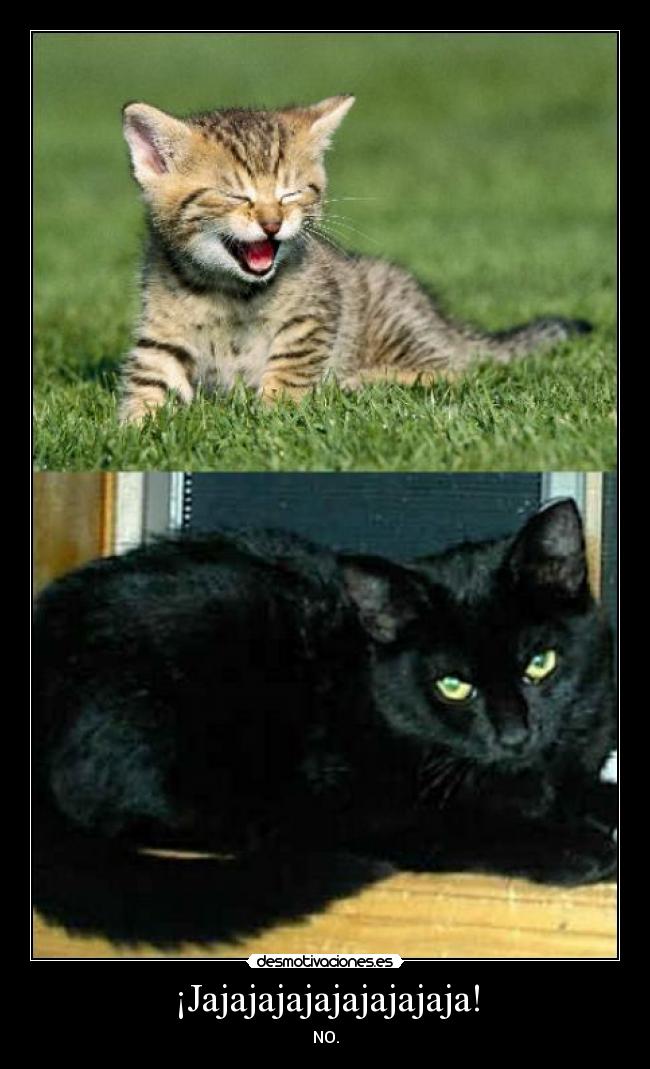 ¡Jajajajajajajajajaja! - NO.