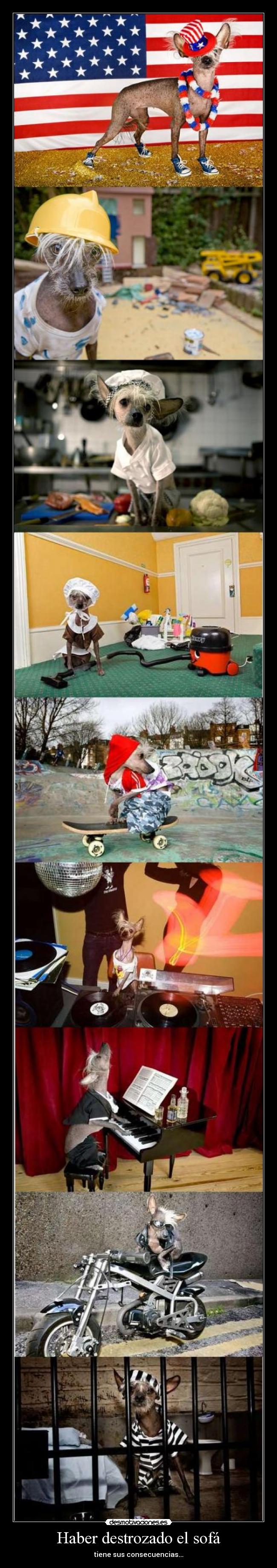 Haber destrozado el sofá -