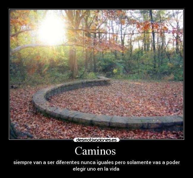 Caminos  - siempre van a ser diferentes nunca iguales pero solamente vas a poder
elegir uno en la vida 