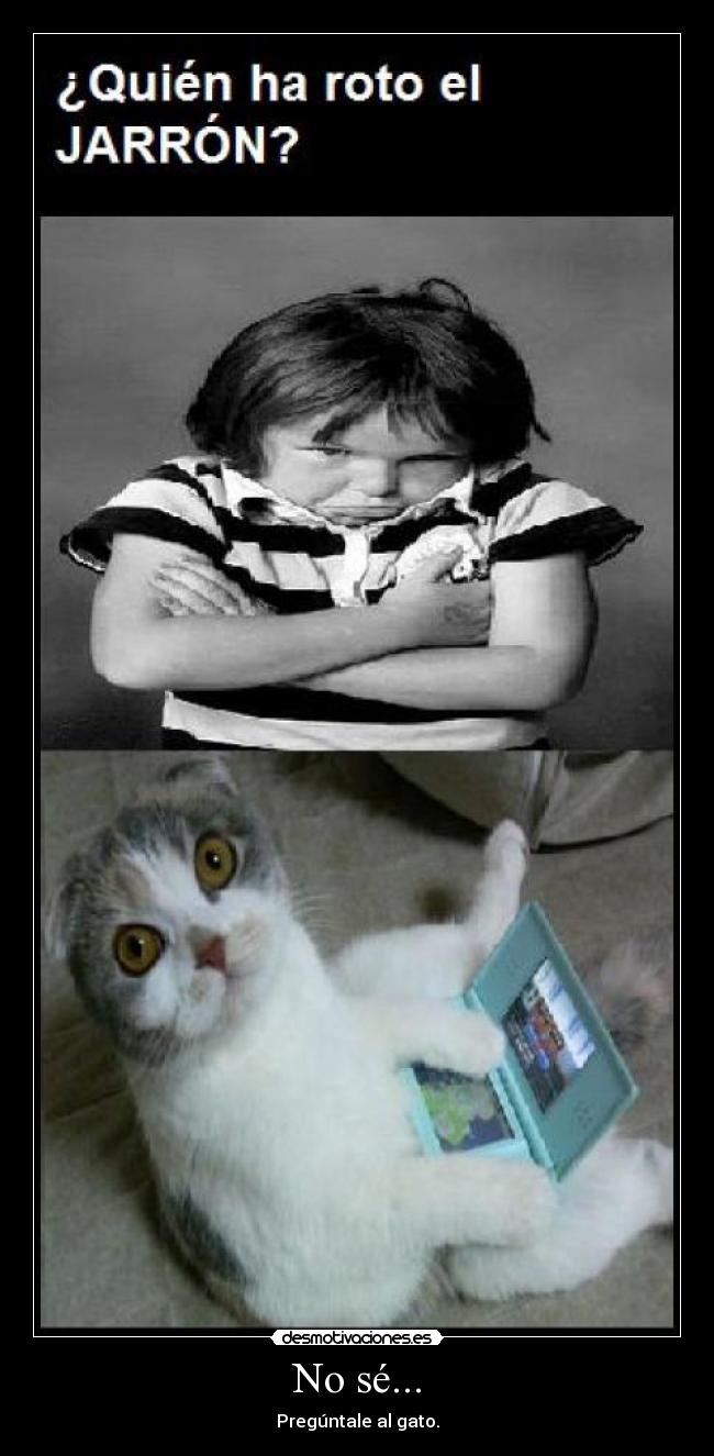 carteles preguntale gatosquien roto jarron desmotivaciones