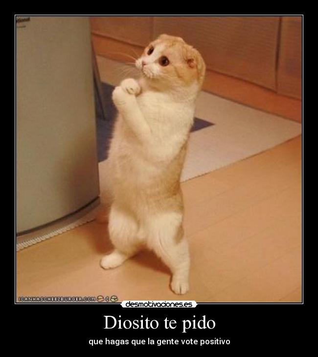 Diosito te pido -