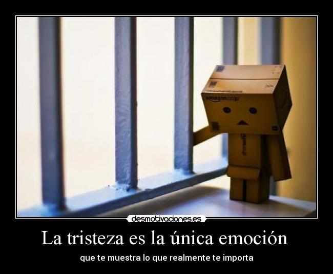 La tristeza es la única emoción  - 