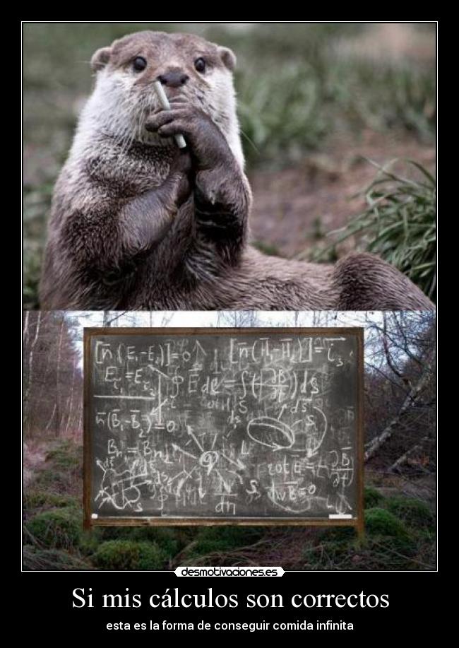 Si mis cálculos son correctos - esta es la forma de conseguir comida infinita