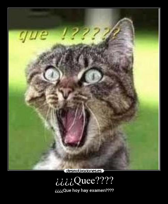 ¿¿¿¿Quee???? - ¿¿¿¿Que hoy hay examen????