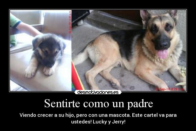 Sentirte como un padre -