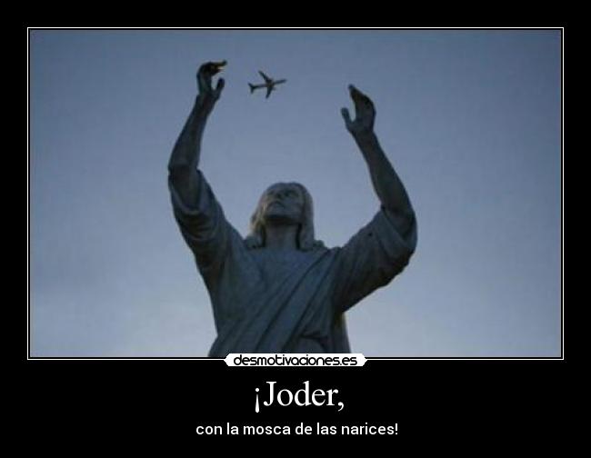 ¡Joder, - con la mosca de las narices!