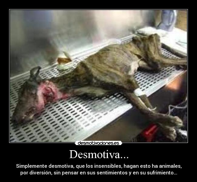 Desmotiva... -