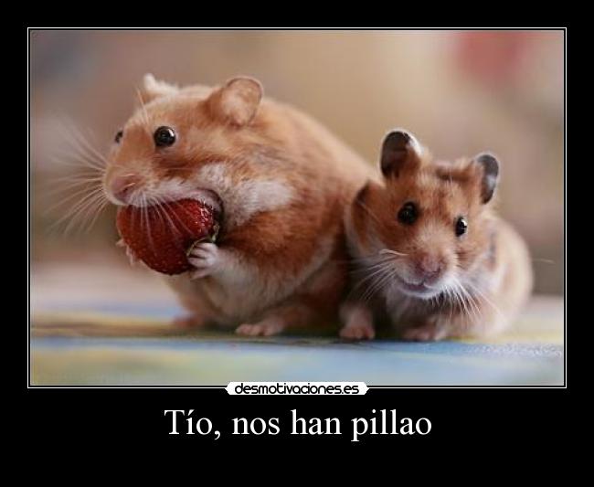 Tío, nos han pillao -