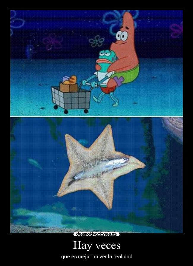 Hay veces - que es mejor no ver la realidad